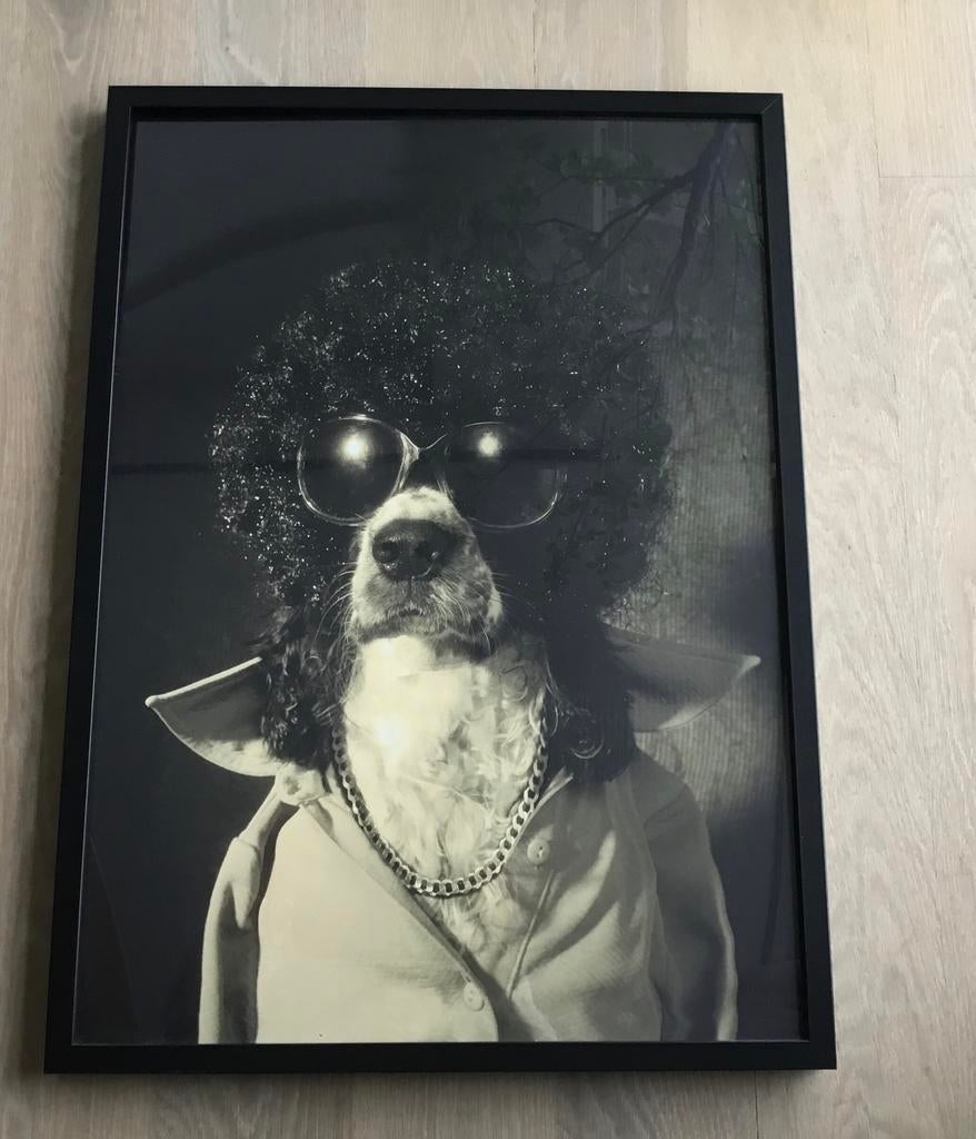 Wissellijst met afbeelding hond, Ophalen