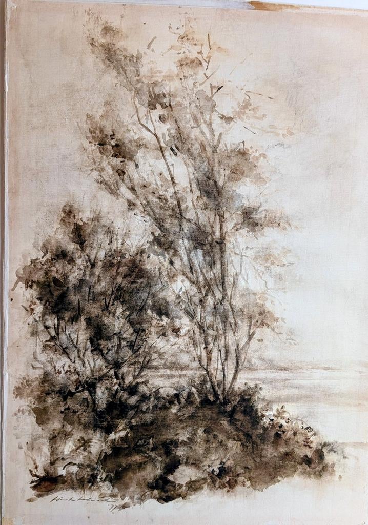 Sierk Schröder aquarel - Landschap 70 x 50 cm op karton, Ophalen of Verzenden