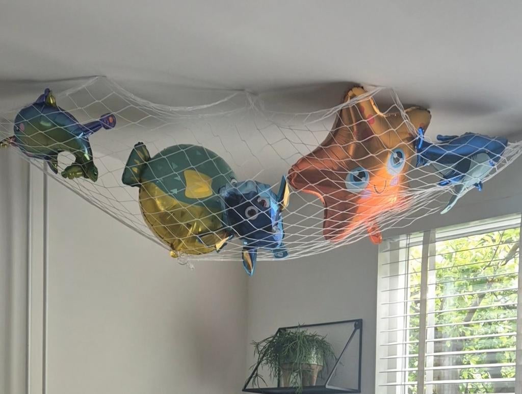 Decoratie verjaardag zee thema, Ophalen of Verzenden, Zo goed als nieuw, Versiering, Verjaardag