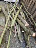 Gratis eiken kachelhout ophalen - Liefst meteen!, Tuin en Terras, Haardhout, Minder dan 3 m³, Ophalen, Overige houtsoorten, Stammen