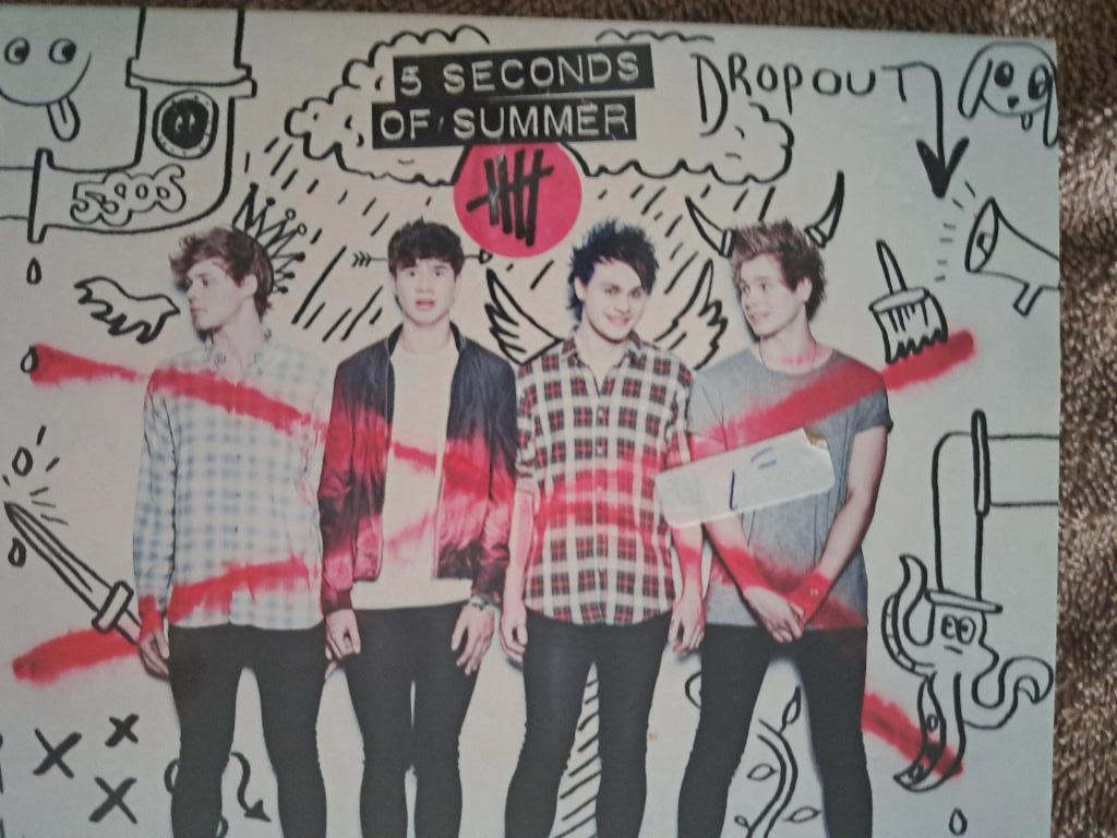 5 Seconds Of Summer – 5 Seconds Of Summer (2014) (€4,00), Ophalen of Verzenden, Gebruikt
