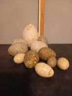 Doos met  een variatie aan paasdecoratie, Diversen, Pasen, Ophalen of Verzenden, Nieuw