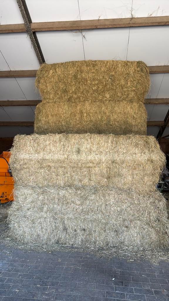 Prachtig groen en smakelijk hooi!!, Dieren en Toebehoren, Ophalen, Vee