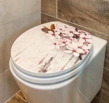 Toiletzitting met soft close in goede staat beschikbaar voor biedingen