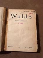 De ziel en de wegen van Waldo - Gerard Walschap *1928*, Antiek en Kunst, Ophalen of Verzenden, Gerard Walschap