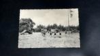 Grimbie scouting terrein met kinderen, Ophalen of Verzenden, 1940 tot 1960, Ongelopen, Limburg