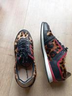 Floris van Bommel schoenen mt 38, Overige kleuren, Floris van Bommel, Ophalen of Verzenden, Sneakers of Gympen