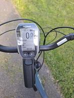 Stella livorno, Ophalen of Verzenden, Gebruikt