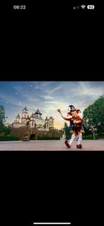 Gevraagd Efteling kaartjes, Tickets en Kaartjes