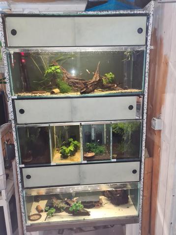 Aquarium stelling te koop  beschikbaar voor biedingen