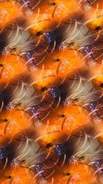 Givannio tricot, 120 cm of meer, Nieuw, Ophalen of Verzenden, Katoen