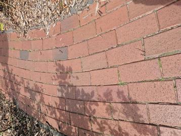 Betonklinkers rood met toplaag beschikbaar voor biedingen