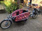 Gazelle Cabby bakfiets zeer gebruikt opknapper, Fietsen en Brommers, Fietsen | Bakfietsen, Gebruikt, 3 kinderen, Opvouwbaar, Ophalen of Verzenden