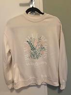 Primark trui maat S - Vrolijk en comfortabel!, Kleding | Dames, Truien en Vesten, Ophalen of Verzenden, Gedragen, Maat 36 (S)