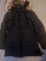 Parajumper long bear, Zwart, Zo goed als nieuw, Maat 34 (XS) of kleiner, Parajumpers