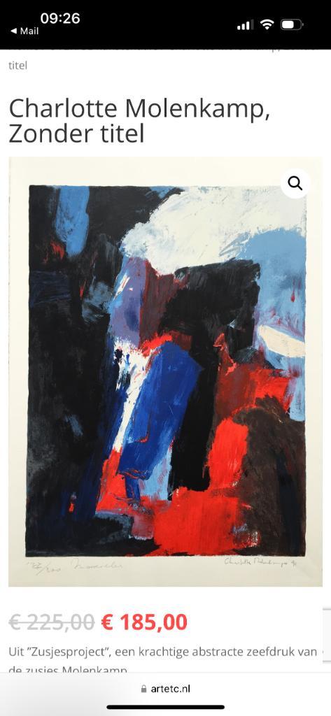Zeefdruk Charlotte Molenkamp, Antiek en Kunst, Kunst | Litho's en Zeefdrukken, Ophalen of Verzenden