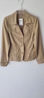 blazer MS mode maat 36 NIEUW, Overige kleuren, Nieuw, Ophalen of Verzenden, Jasje