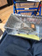 Modelauto, Ophalen of Verzenden, Nieuw, Auto