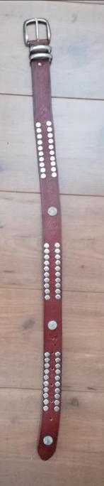 TRENDY cognackleur leren riem met studs 80cm, 3 tot 5 cm, Tailleriem, Ophalen of Verzenden, Zo goed als nieuw