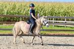 Super brave kinderpony, Dieren en Toebehoren, Paarden, Gechipt, Minder dan 160 cm, Ruin, Zadelmak