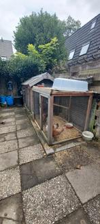 Kippenhok met ren, Dieren en Toebehoren, Pluimvee | Toebehoren, Ophalen, Zo goed als nieuw, Kippenhok of Kippenren