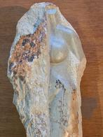 Stenen beeld torso op marmeren voet, Verzamelen, Beelden en Beeldjes, Ophalen of Verzenden, Zo goed als nieuw, Mens