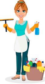 Schoonmaakster gezocht, Ophalen, Overige typen