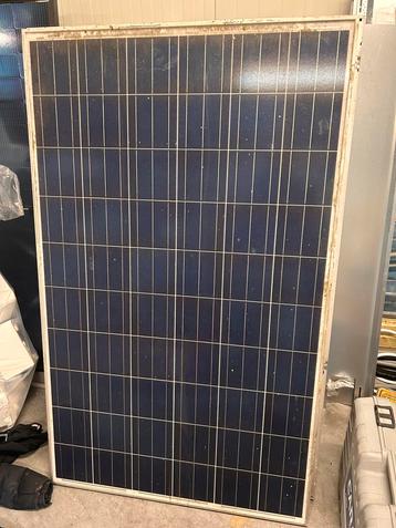 Zonnepanelen 250wp beschikbaar voor biedingen