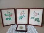 Curiosa vintage 4 ingelijste prenten met rozen 3 gedrukt, Antiek en Kunst, Ophalen of Verzenden