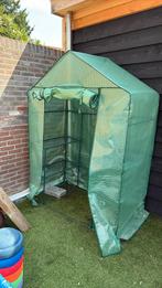 Kas, Tuin en Terras, Kassen, Ophalen of Verzenden, Glas, Zo goed als nieuw