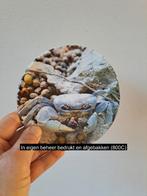 Krab wandbord, porselein D16cm, Antiek en Kunst, Ophalen of Verzenden