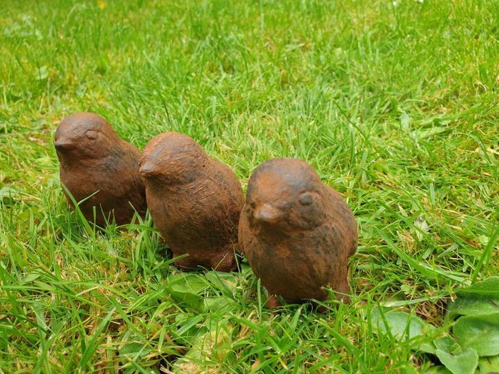 3 kuikentjes, kuiken ,decoratie , aanbieding, Tuin en Terras, Tuinbeelden, Nieuw, Dierenbeeld, Beton, Ophalen of Verzenden