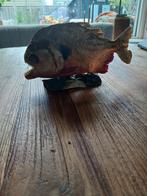 Opgezette piranha, Verzamelen, Ophalen of Verzenden, Vogel, Opgezet dier