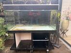 Aquarium 120 x 50 x 50, Dieren en Toebehoren, Vissen | Aquaria en Toebehoren, Ophalen, Gebruikt, Leeg aquarium