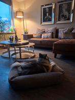 Hondenmand 80 x 70 cm, Dieren en Toebehoren, Ophalen of Verzenden, Overige