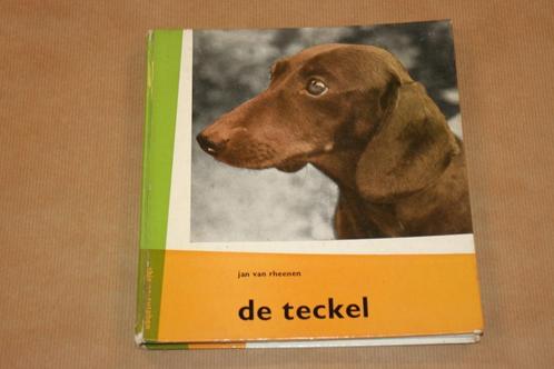De Teckel - Portret van een hondenras - Jan van Rheenen, Boeken, Dieren en Huisdieren, Gelezen, Honden, Ophalen of Verzenden