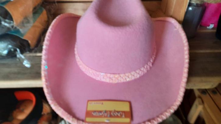 Leuke cowboy hoeden, Kleding | Dames, Hoeden en Petten, Zo goed als nieuw, Hoed, One size fits all, Ophalen of Verzenden