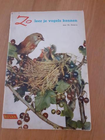 Zo leer je vogels kennen  beschikbaar voor biedingen
