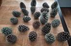 Herfst Kerst Dennenappels groot 22 stuks, Diversen, Ophalen of Verzenden, Zo goed als nieuw