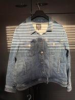 MS Mode spijkerjasje maat 48, Maat 46/48 (XL) of groter, Zo goed als nieuw, Jasje, MS Mode