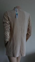 nieuw beige RAIZZED fluweel jasje, Verzenden, Beige, Nieuw, Jasje