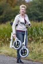 Gevraagd van raam loopfiets, Diversen, Verpleegmiddelen, Ophalen of Verzenden