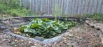 (Onbuigbare) houten brug met stalen frame, Tuin en Terras, Ophalen of Verzenden, Gebruikt, Overige typen