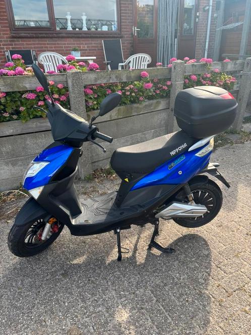 Elektrische scooter Nipponia E-Rex 2 accu’s 55 KM per uur, Fietsen en Brommers, Scooters | Overige merken, Zo goed als nieuw, Elektrisch