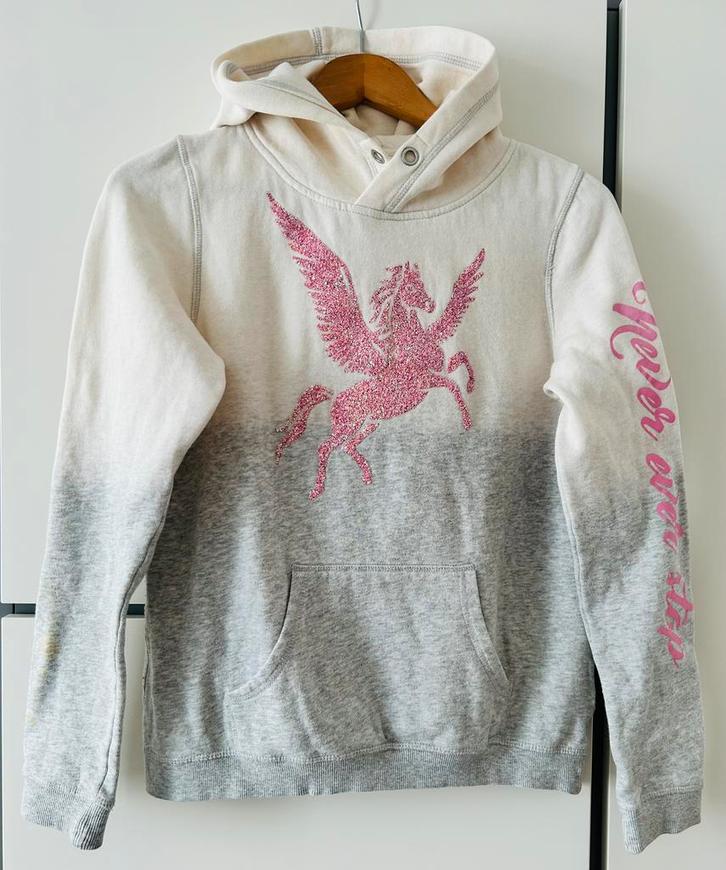 Hoodie H&M Maat 170 / 14+ Jaar Wit Grijs/Roze, Kinderen en Baby's, Kinderkleding | Maat 170, Zo goed als nieuw, Meisje, Trui of Vest