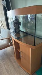 Gratis aquarium, Dieren en Toebehoren, Vissen | Aquaria en Toebehoren, Ophalen, Zo goed als nieuw