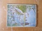 Verzameling Verkade Albums, Boeken, Prentenboeken en Plaatjesalbums, Ophalen, Gelezen, Jac. P. Thijsse, Plaatjesalbum