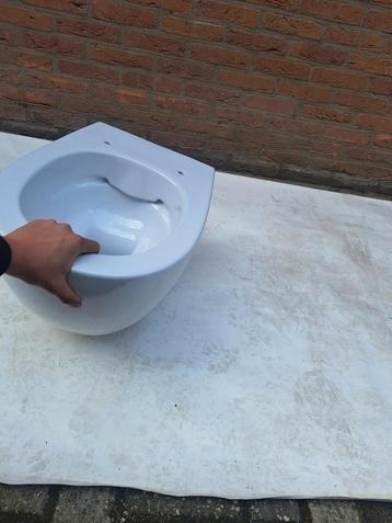 Nieuwe Globe wcpot zonder spoelrand(B33) beschikbaar voor biedingen