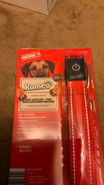 Honden hals band M met led verlichting  nieuw🎁, Dieren en Toebehoren, Ophalen of Verzenden, Verlicht, Nieuw