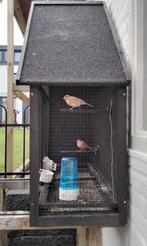 Voliere, Dieren en Toebehoren, Vogels | Hokken en Kooien, Ophalen, Zo goed als nieuw, Hout, Volière